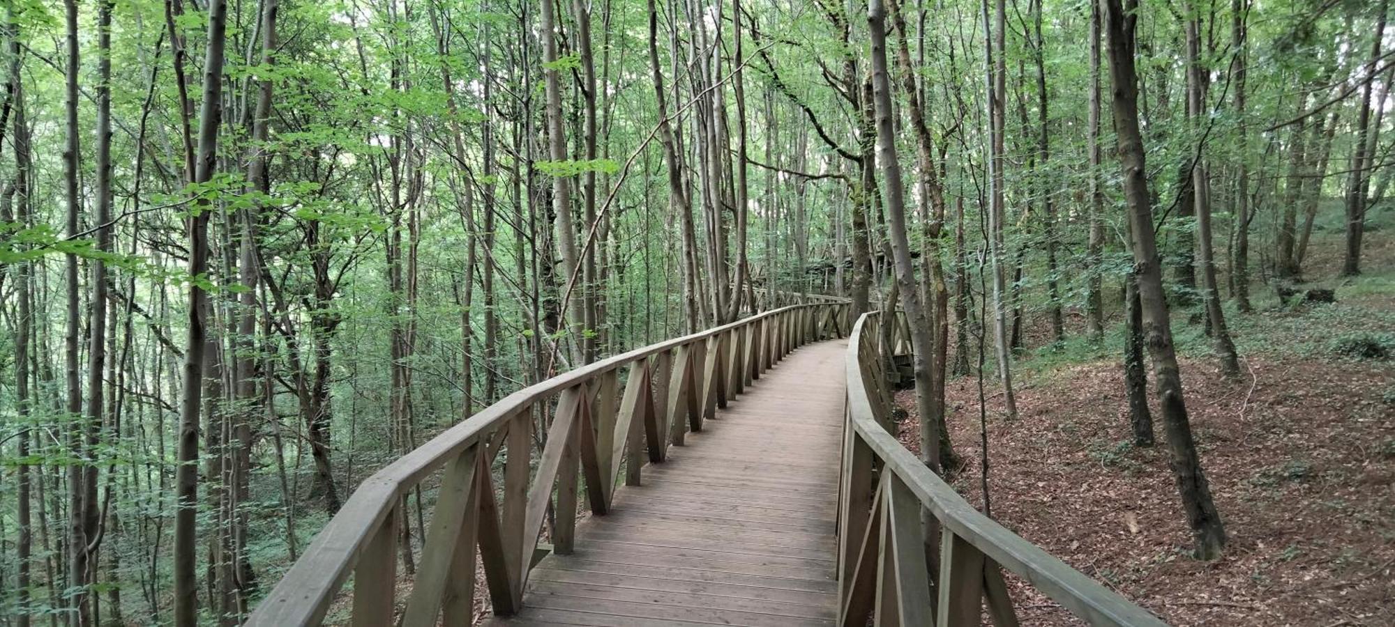 El Mirador De La Hayuela, A 7 Min De Comillas Eksteriør billede